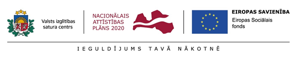 VISC NAP2020 ES