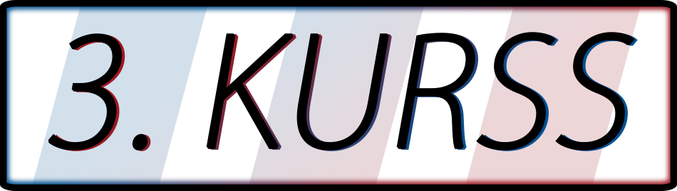 3kurss
